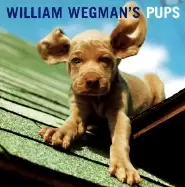 Image of william wegmans pups