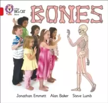 Image of Bones : Band 02b/Red B