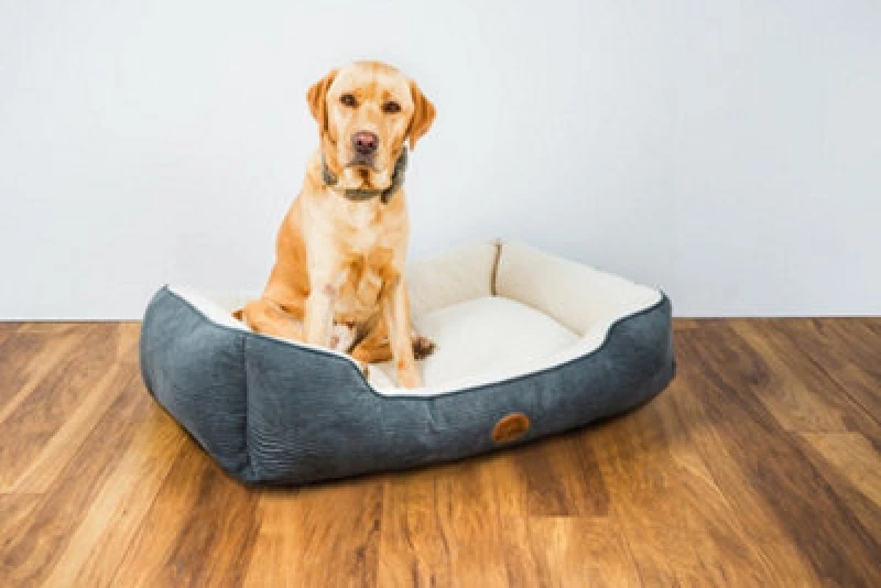 Image of Snug & Cosy Pets Snug And Cosy Pets Malvern Dog Bed Bedding Rectangle Reversible Charcoal Small 64Cm 25"