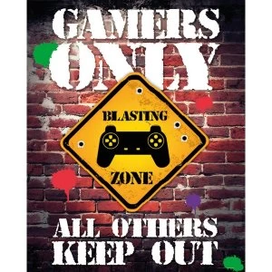 Image of Gamers Only Controller Keep Out Mini Poster
