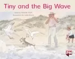 Image of PM Yellow: PM Yellow: Tiny and the Big Wave (PM Storybooks) Level 8