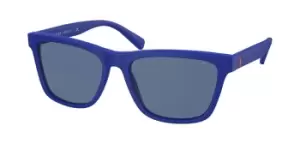 image of Polo Ralph Lauren Sunglasses PH4167 596280