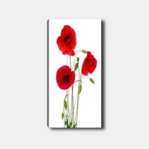 Image of DKY12803_50120 Multicolor Decorative Canvas Painting