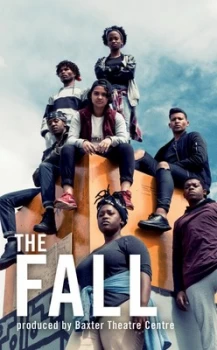 Image of The Fall by Baxter Theatre Company Book