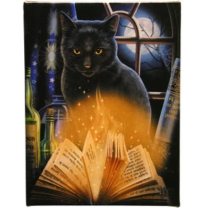 Image of Small Bewitched Canvas Picture by Lisa Parker