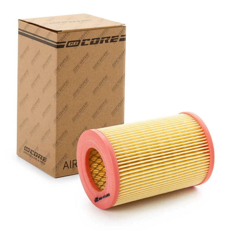 Image of goCORE Air filter goCORE GCH0122