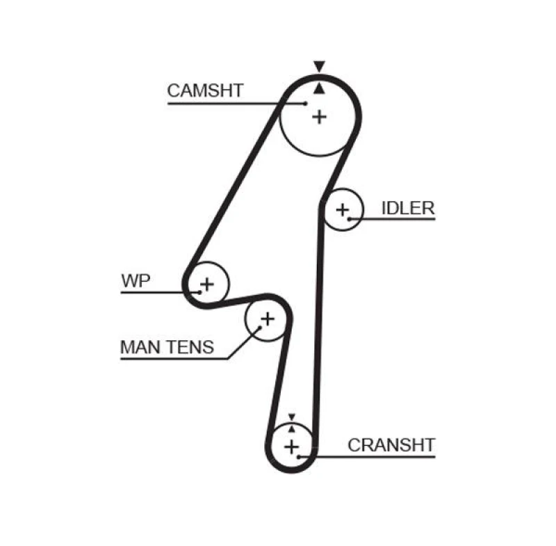Image of GATES Timing Belt GATES 5580XS