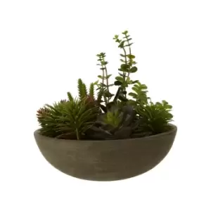 image of 29cm Mixed Succulent in Stone Effect Pot