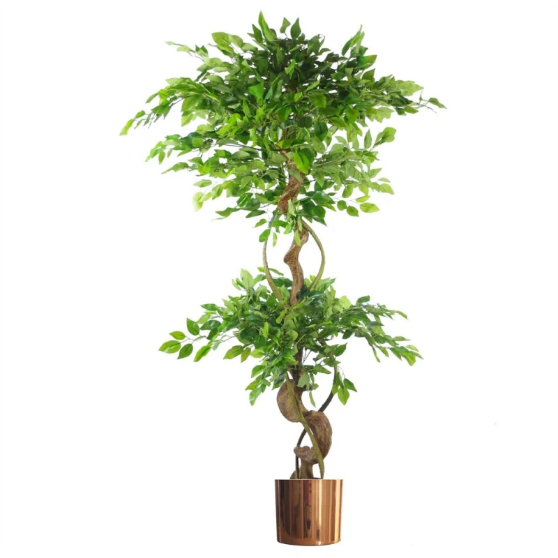 Image of Leaf Japanese Fruticosa Ficus Tree Copper Planter 150cm Twisted Trunk Artificial Botanik Green