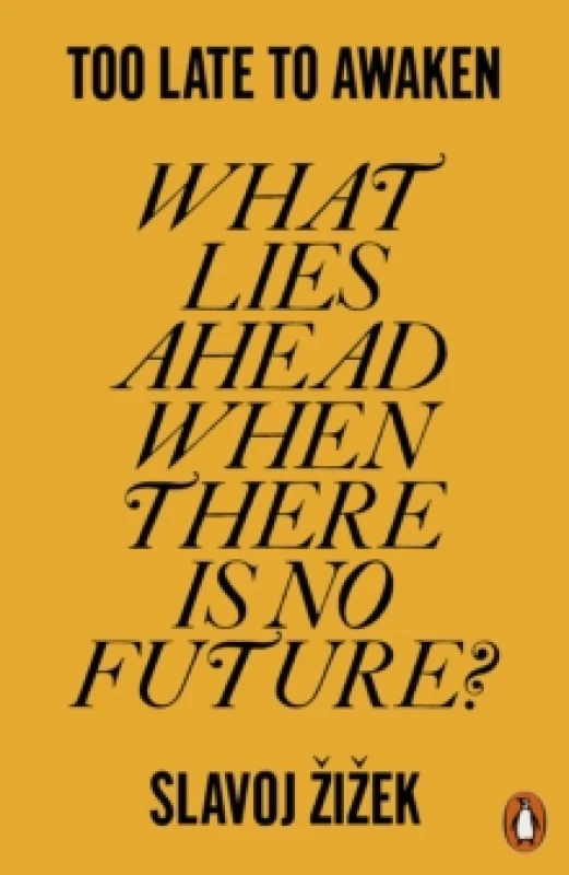Image of Too Late to Awaken : What Lies Ahead When There is No Future? Paperback / softback