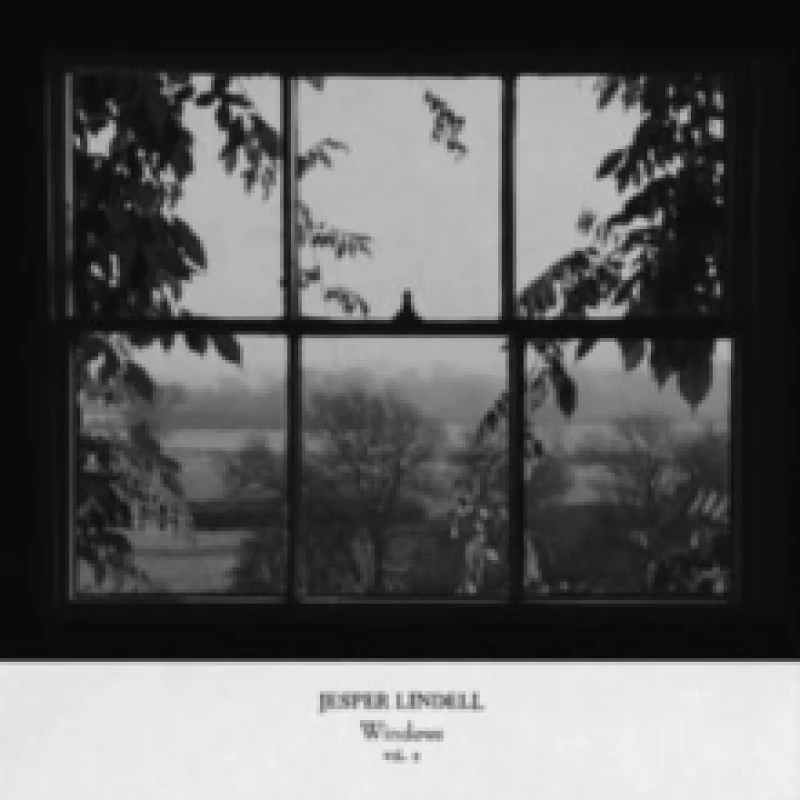 Image of Windows Vol. 2 Vinyl