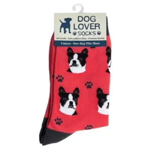 image of Dog Lover Socks Boston Terrier