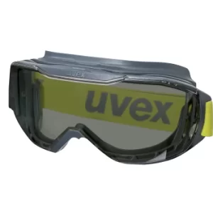 Image of megasonic goggles