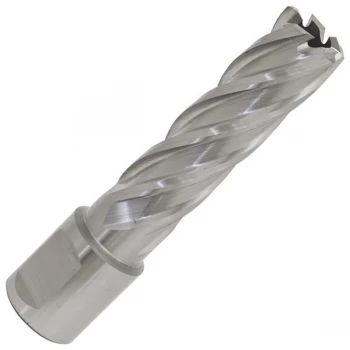 Image of Worksafe RBHSS16L Rotabor Cutter HSS Ø16mm - Cut Depth 50mm