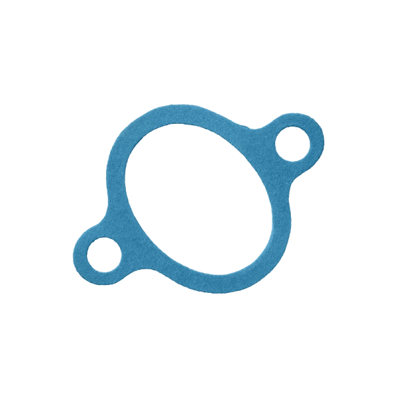 Image of DT Spare Parts 1.24111 Gaskets Gasket,thermostat housing (317)