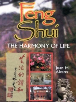 Image of Feng Shui by Juan M Alvarez Book
