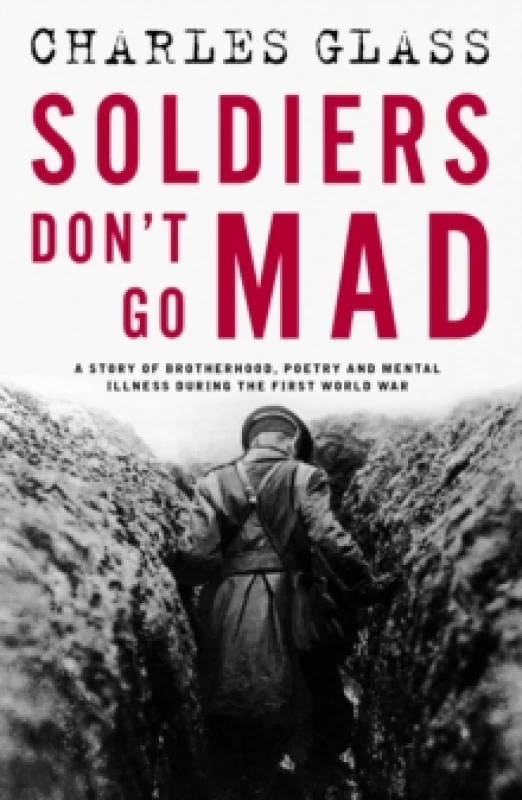 Image of Soldiers Don't Go Mad : A Story of Brotherhood, Poetry and Mental Illness During the First World War Paperback / softback