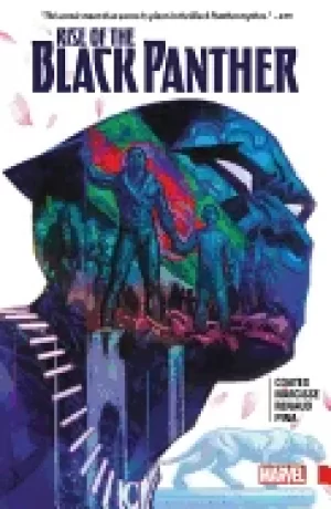 Image of rise of the Black panther