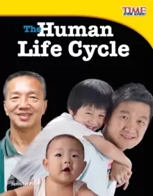 Image of The Human Life Cycle