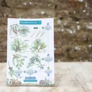 Image of Field Guide - Trees