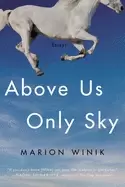 Image of above us only sky essays