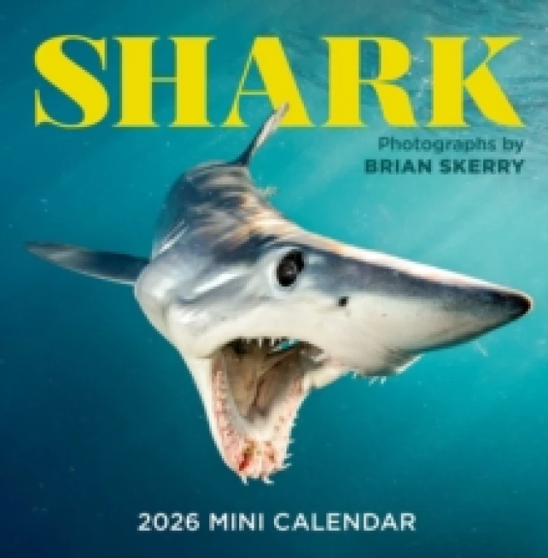 Image of Shark Mini Wall Calendar 2026 Calendar