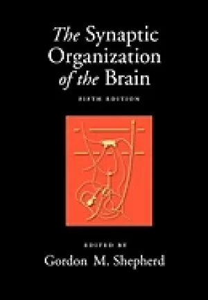 Image of synaptic organization of the brain