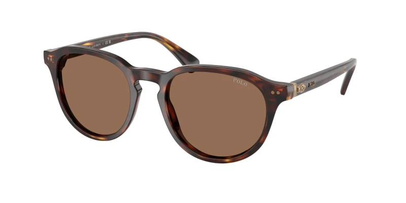 Image of Polo Ralph Lauren 0Ph4221 Phantos Sunglasses- Brown Brown WHDVP Male