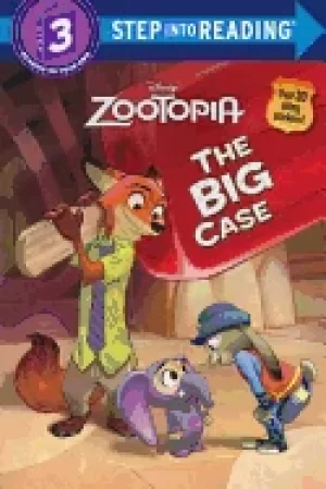 Image of big case