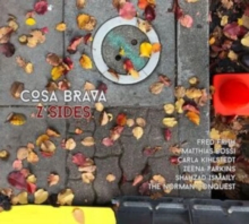 Image of Z sides CD / Album