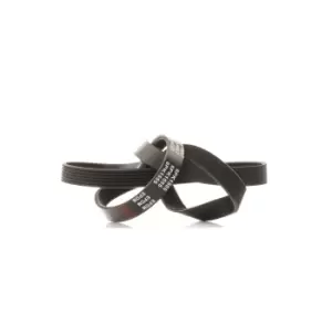 Image of RIDEX V-ribbed belt VW,AUDI,BMW 305P0073 06D903137F,GMB61553,11281427250 Serpentine belt,Auxiliary belt,Poly V-belt,Ribbed belt,Multi V-belt,Poly belt