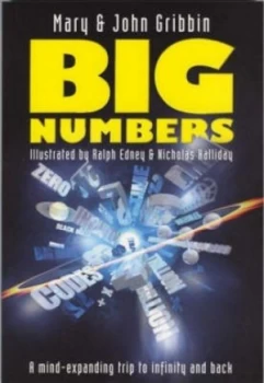 Image of Big Numbers by Mary Gribbin Book