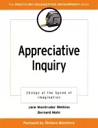Image of appreciative inquiry change at the speed of imagination
