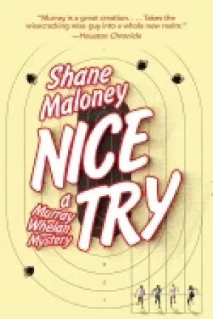 Image of nice try a murray whelan mystery