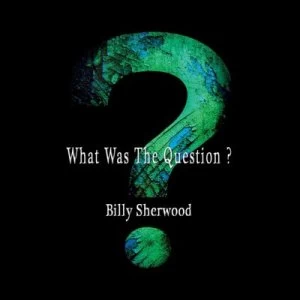 image of What Was the Question? by Billy Sherwood CD Album