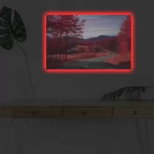 Image of 4570DHDACT-033 Multicolor Decorative LED Lighted Canvas Painting