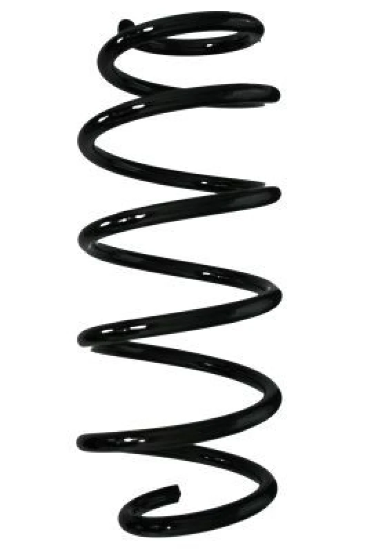 Image of Coil spring SPIDAN 87537
