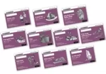 Image of Read Write Inc. Phonics: Black and White Purple Set 2 Storybooks Mixed Pack of 10