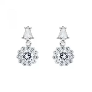 Image of Ted Baker Lranha Daisy Crystal Daisy Drop Earrings