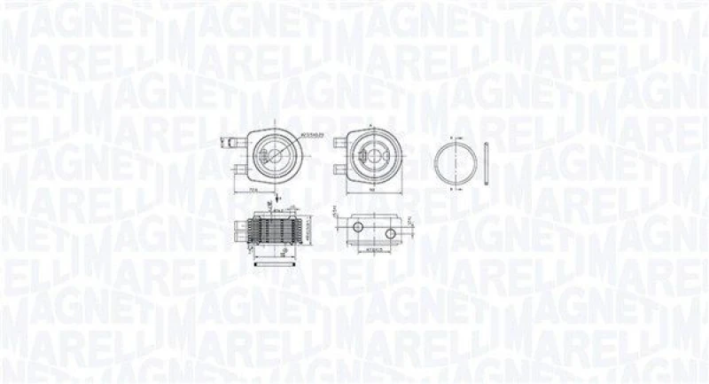 Image of MAGNETI MARELLI Engine oil cooler MAGNETI MARELLI 350300001900
