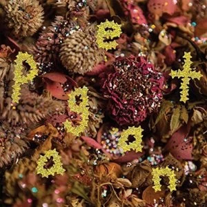 Image of Pageant by PWR BTTM CD Album