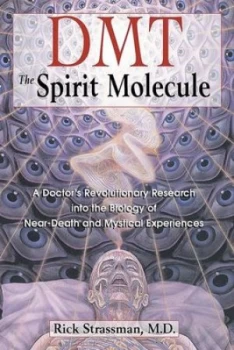 Image of Dmt by Rick Strassman Book