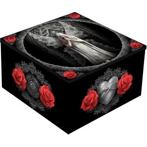 Image of Only Love Remains Fairy Mirror Box