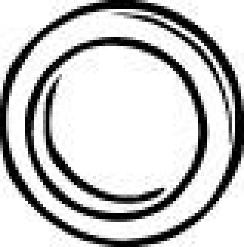 Image of Exhaust pipe gasket VEGAZ FD-102