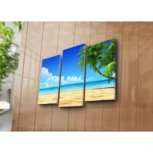 Image of 3NATPAT-8 Multicolor Decorative Canvas Painting (3 Pieces)