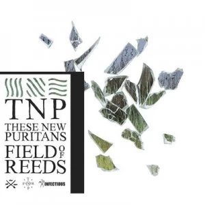 image of Field of Reeds by These New Puritans CD Album