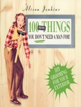 Image of 100 More Things You Dont Need a Man For by Alison Jenkins Paperback