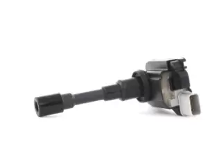Image of RIDEX Ignition coil 689C0039 Coil pack,Ignition coil pack FIAT,SUZUKI,SUBARU,Sedici (FY_),SWIFT III (MZ, EZ),JIMNY (FJ),SWIFT IV (FZ, NZ)