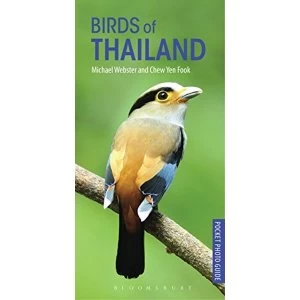 Image of Birds of Thailand Paperback / softback 2018