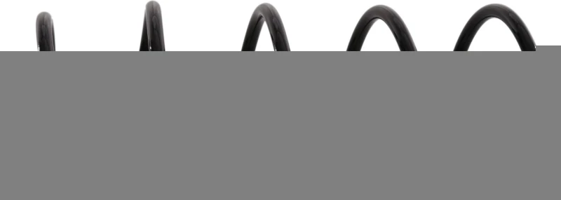 Image of Coil spring SACHS 991 189